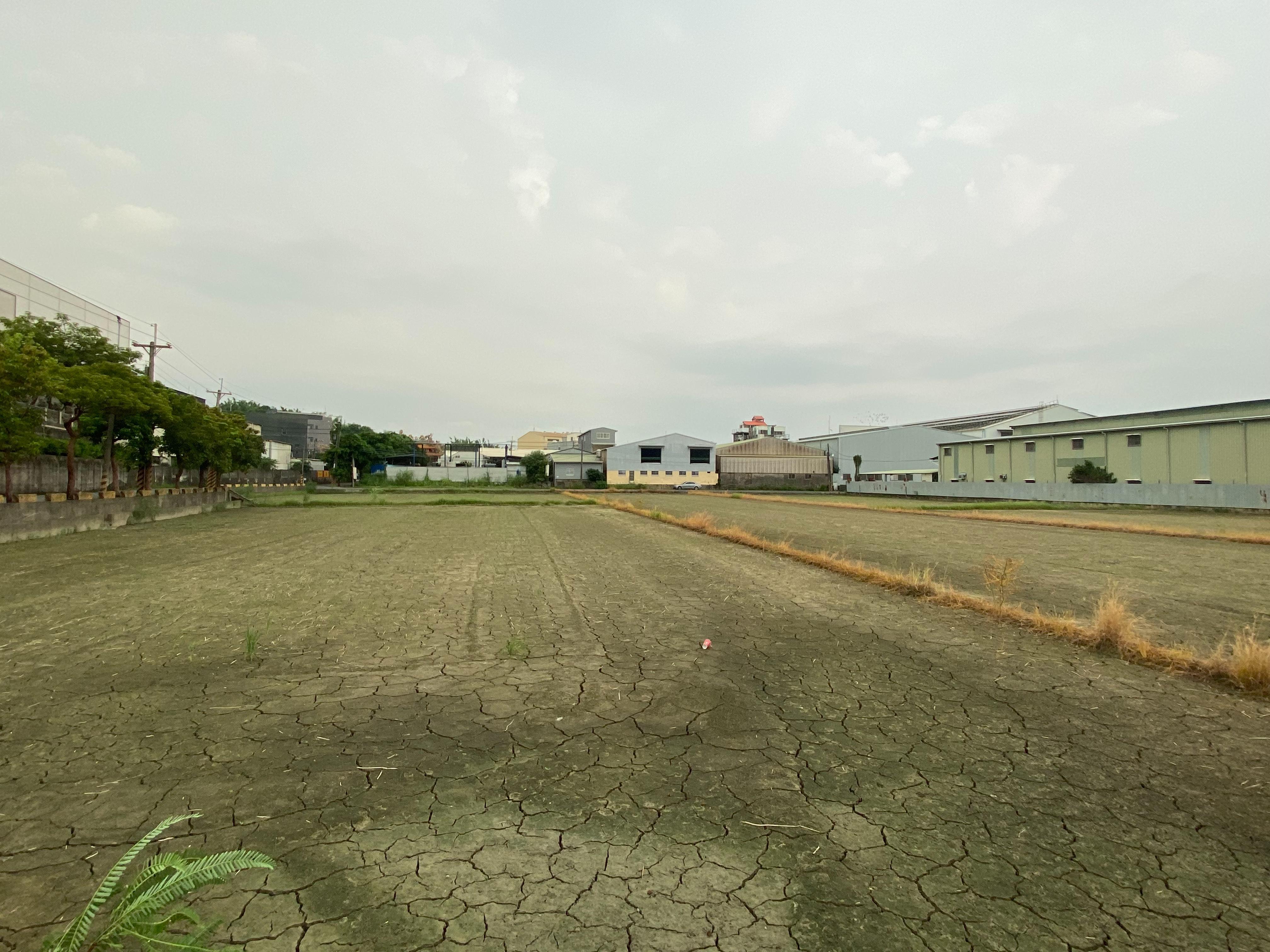 仁武產業園區旁大地坪農地