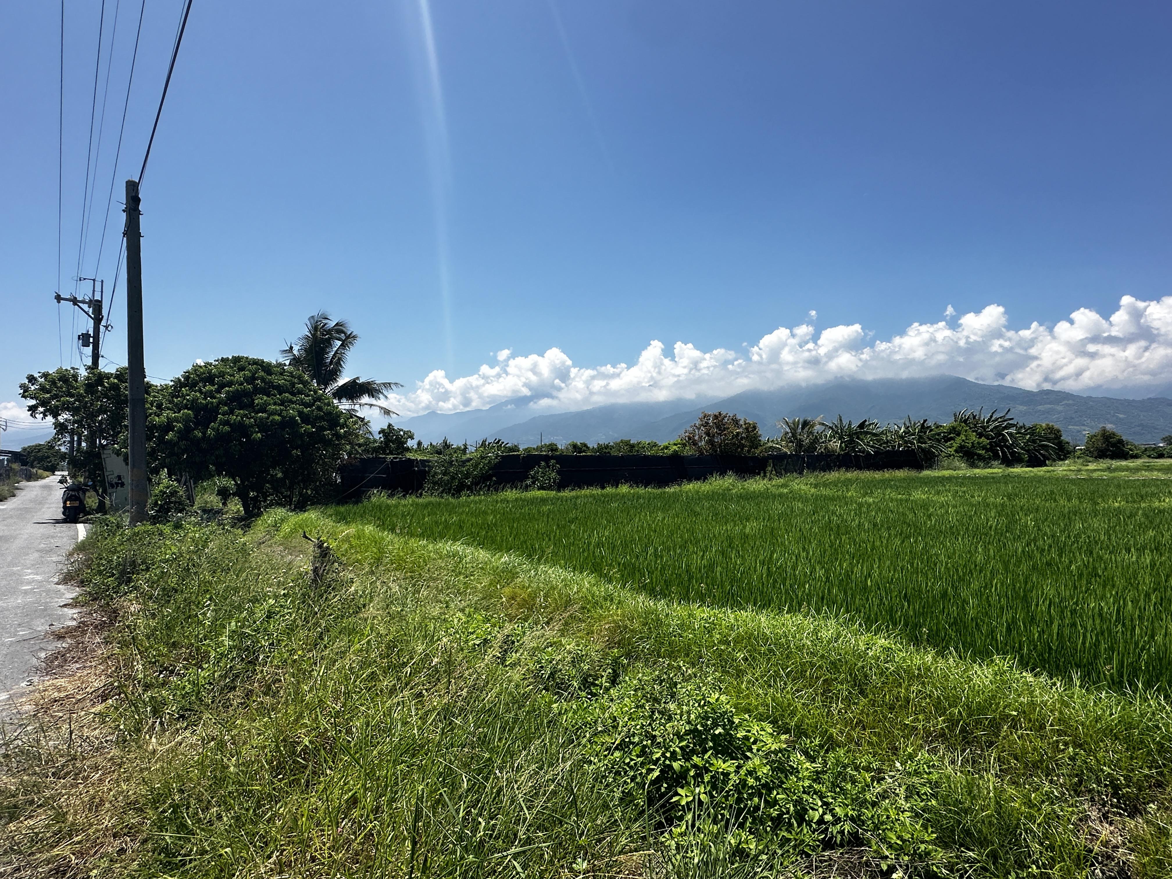 知本台東大學一甲農地