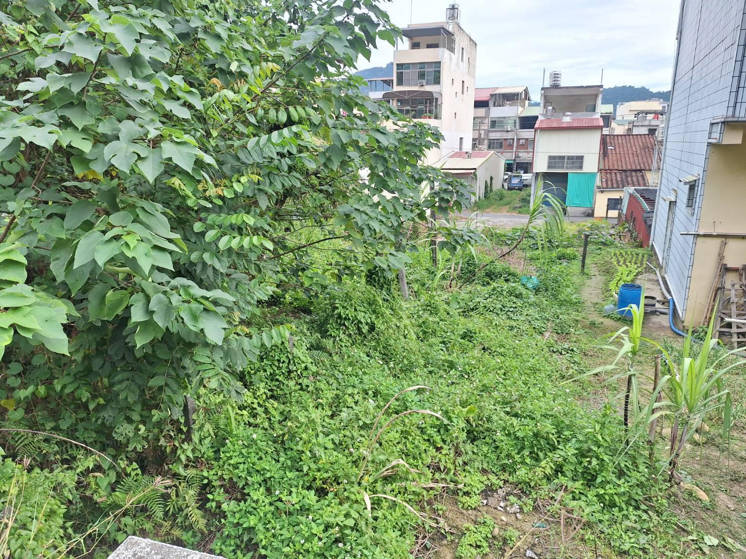 旗山老街旁臨路有水有電便宜住宅建地