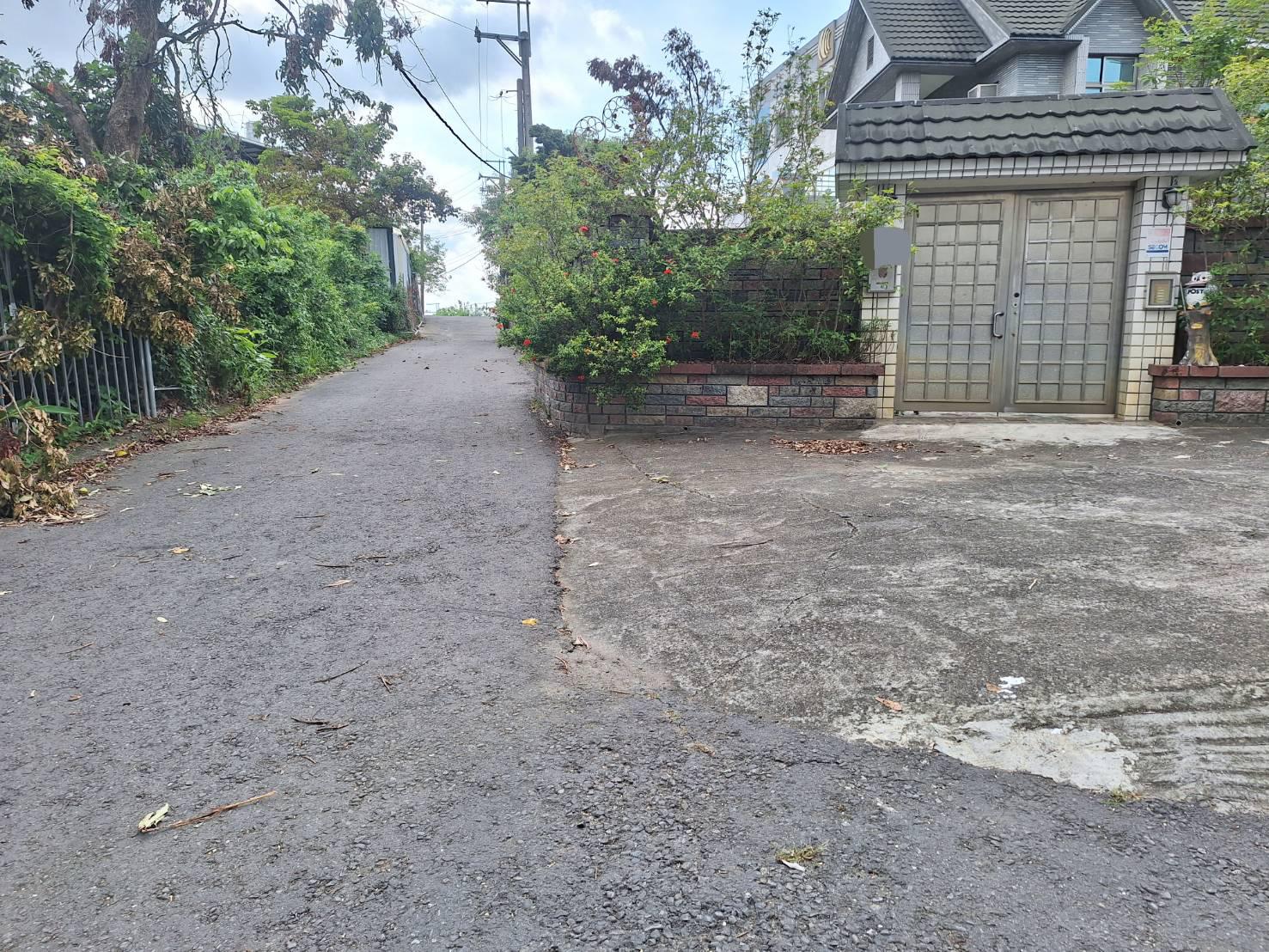 大樹近義大休閒景觀大地坪花園獨棟大別墅