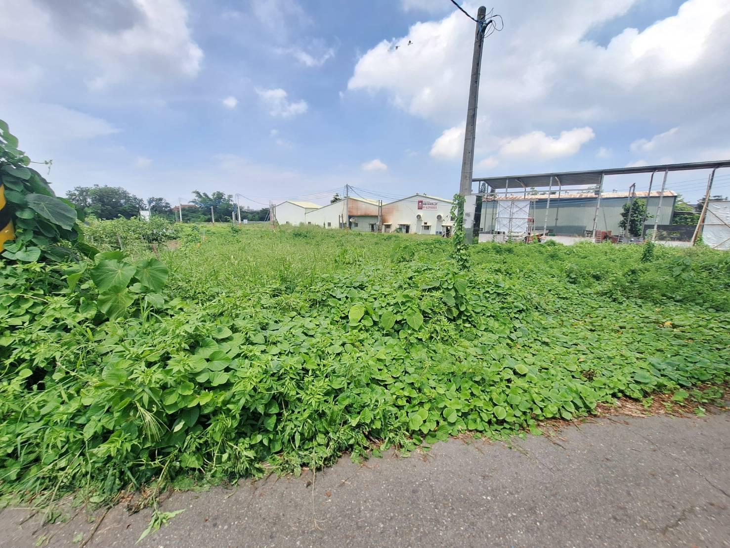 燕巢瓊西段臨路都內平坦農地/近岡山市區