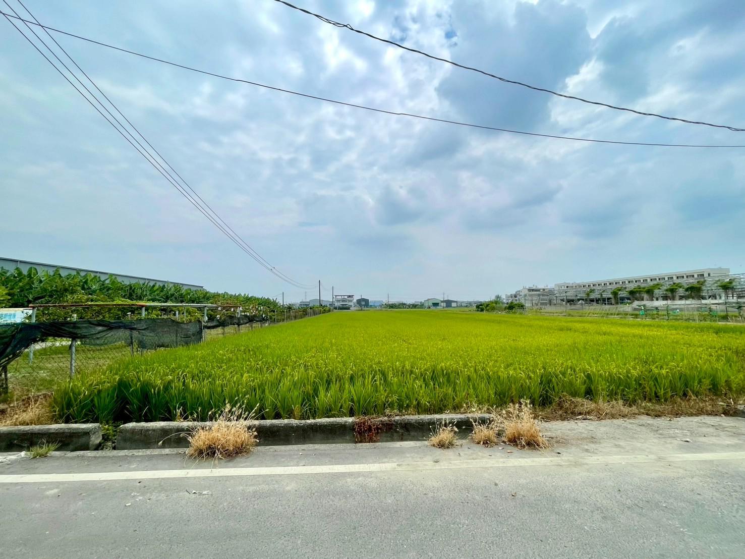 近萬丹路+光明路*臨住宅區旁*都內農地501坪