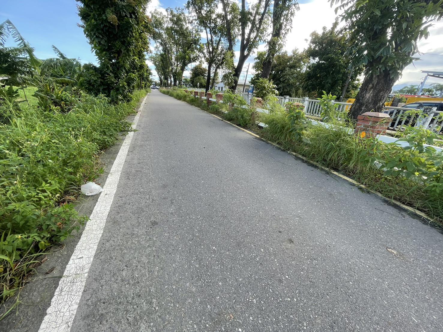 大寮光明翁園路上傳家寶精華都內農地
