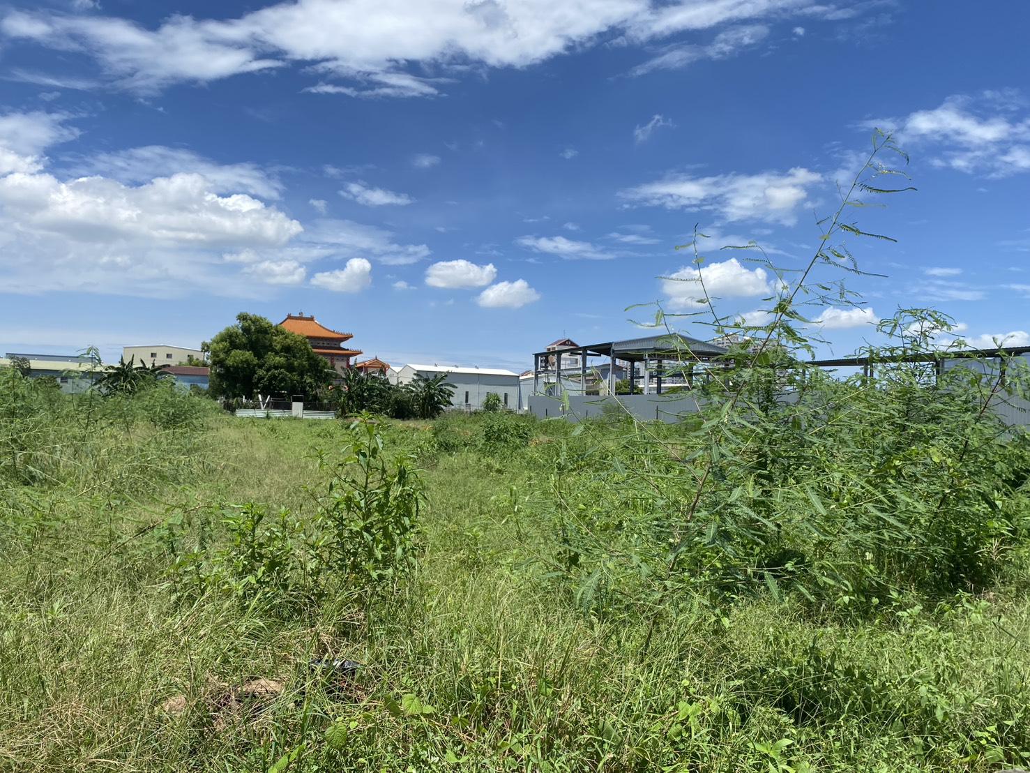鹽埔國小優質農保農地