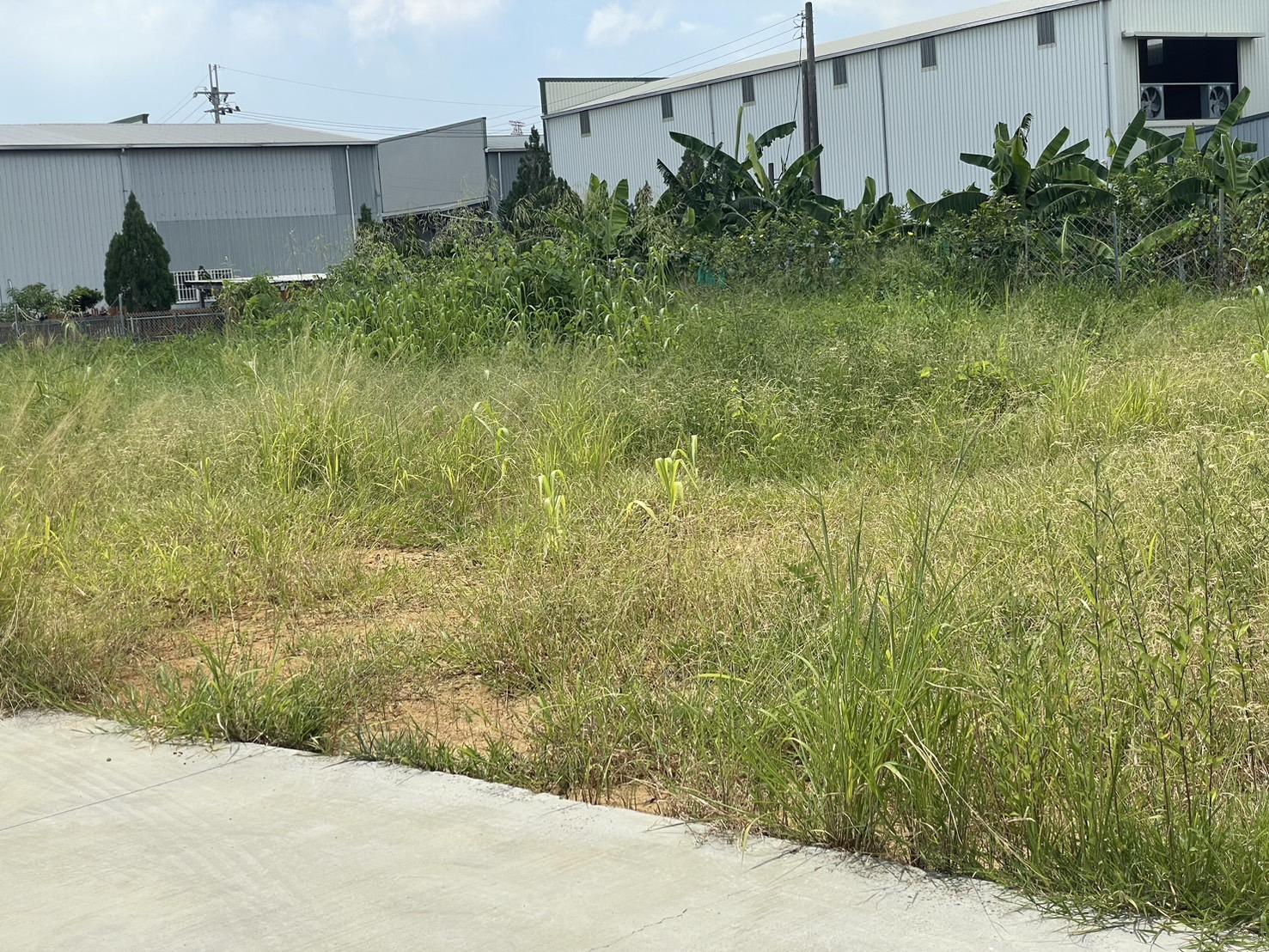 瓦厝街三角窗農地廠房預售