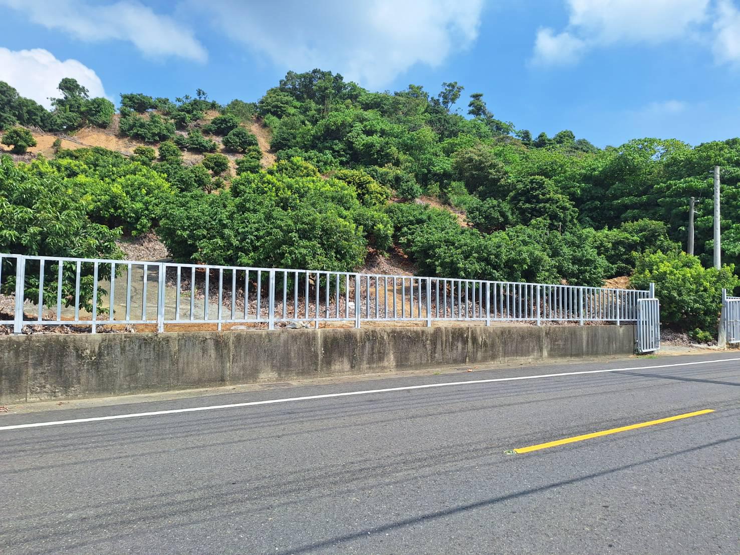 義大世界大樹有水有電多品種荔枝園