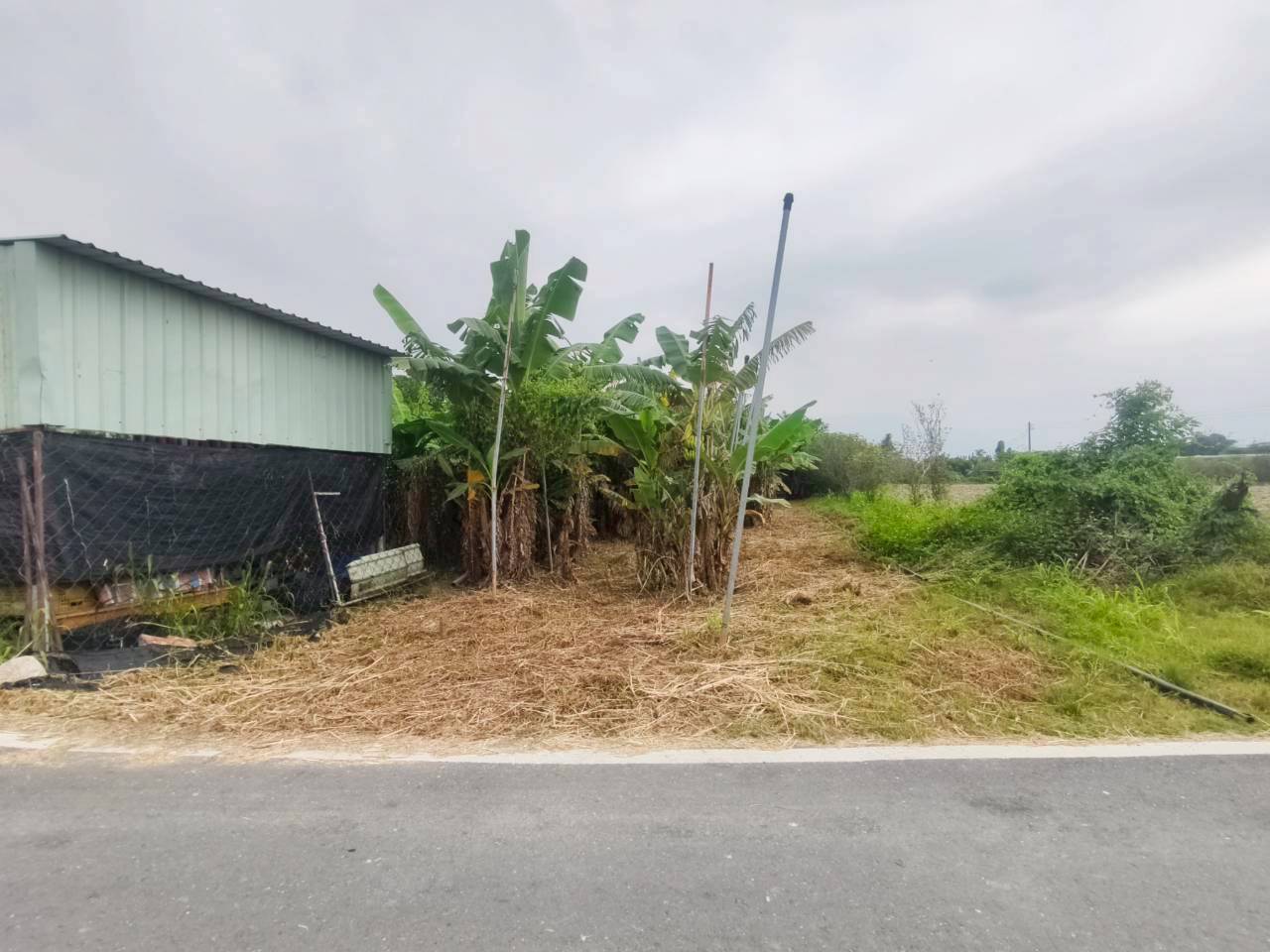 20251111094839248164.jpg 1.jpg