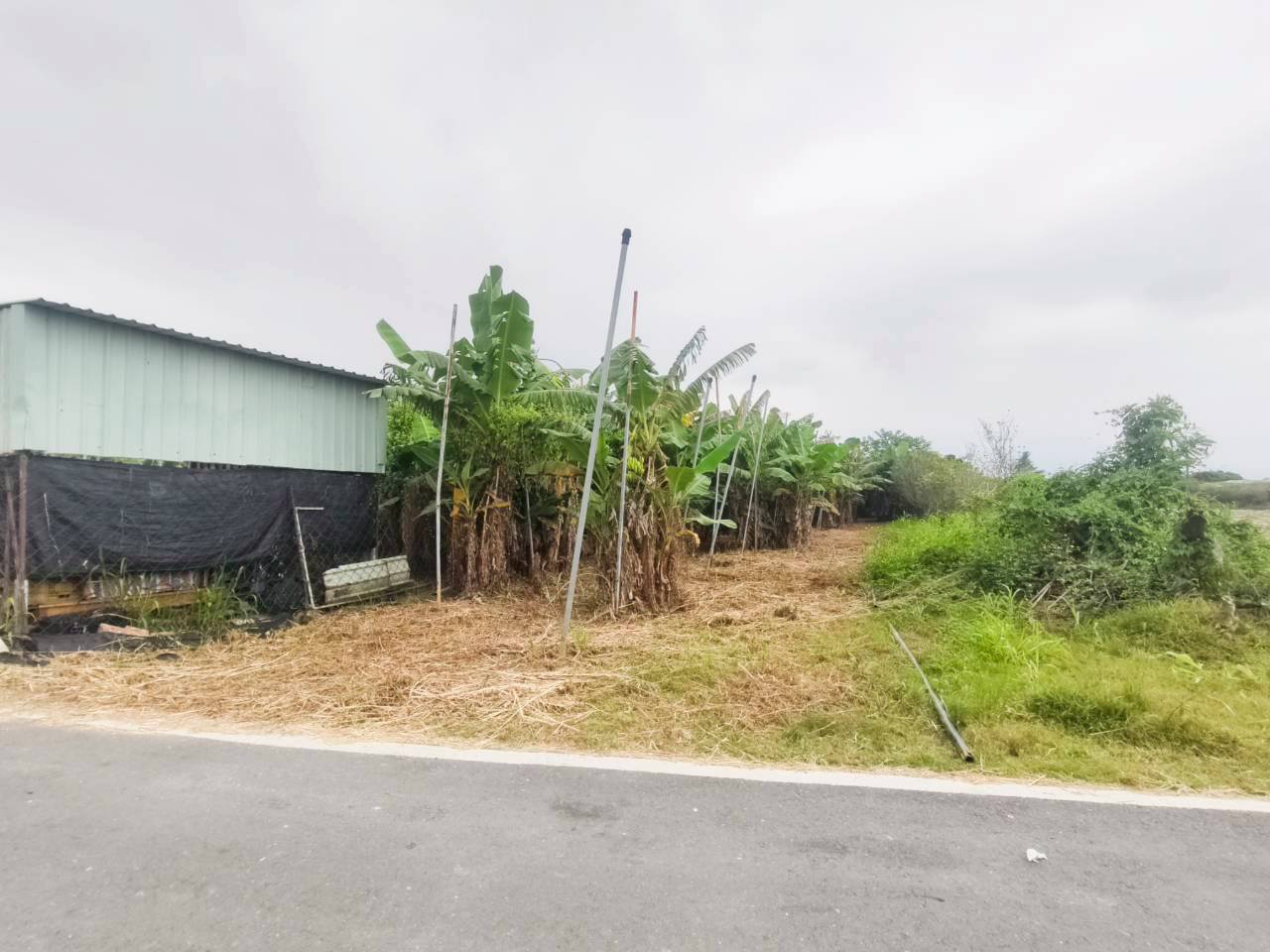 20251111094839307324.jpg 2.jpg