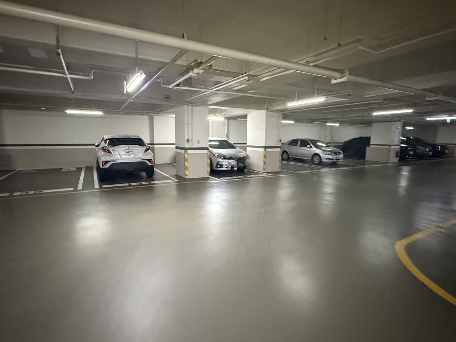 20251111095452275762.jpg S__19439620.jpg