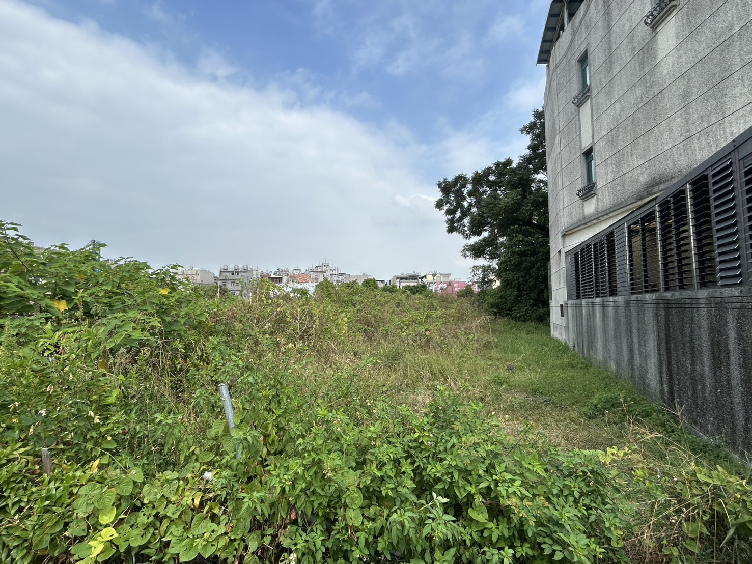 20251111181224652765.jpg 10.jpg