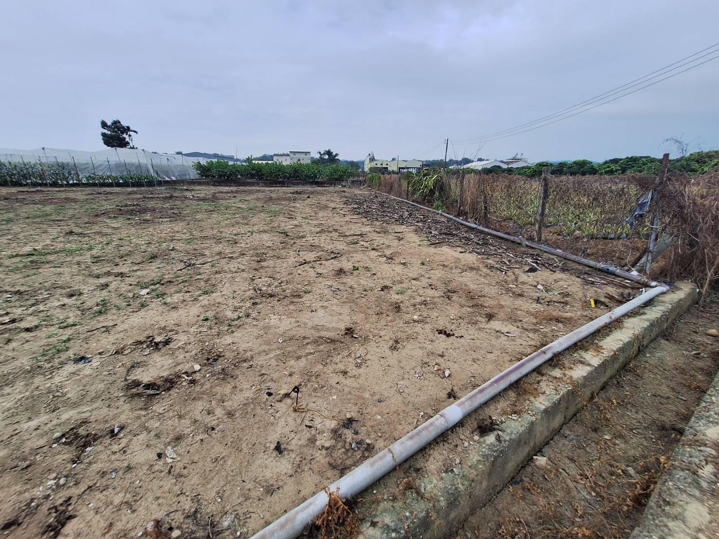 大樹大坑路附近大面寬方正便宜美農地