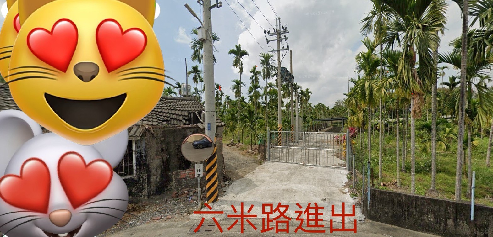 20251209145708595347.jpg 02.jpg