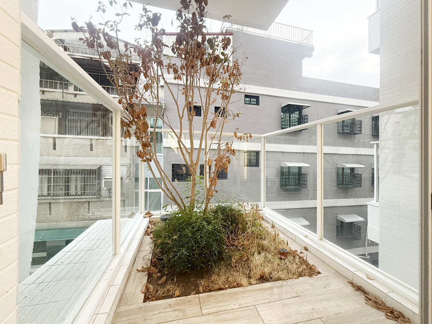 20251217110213623498.jpg 013-1.jpg