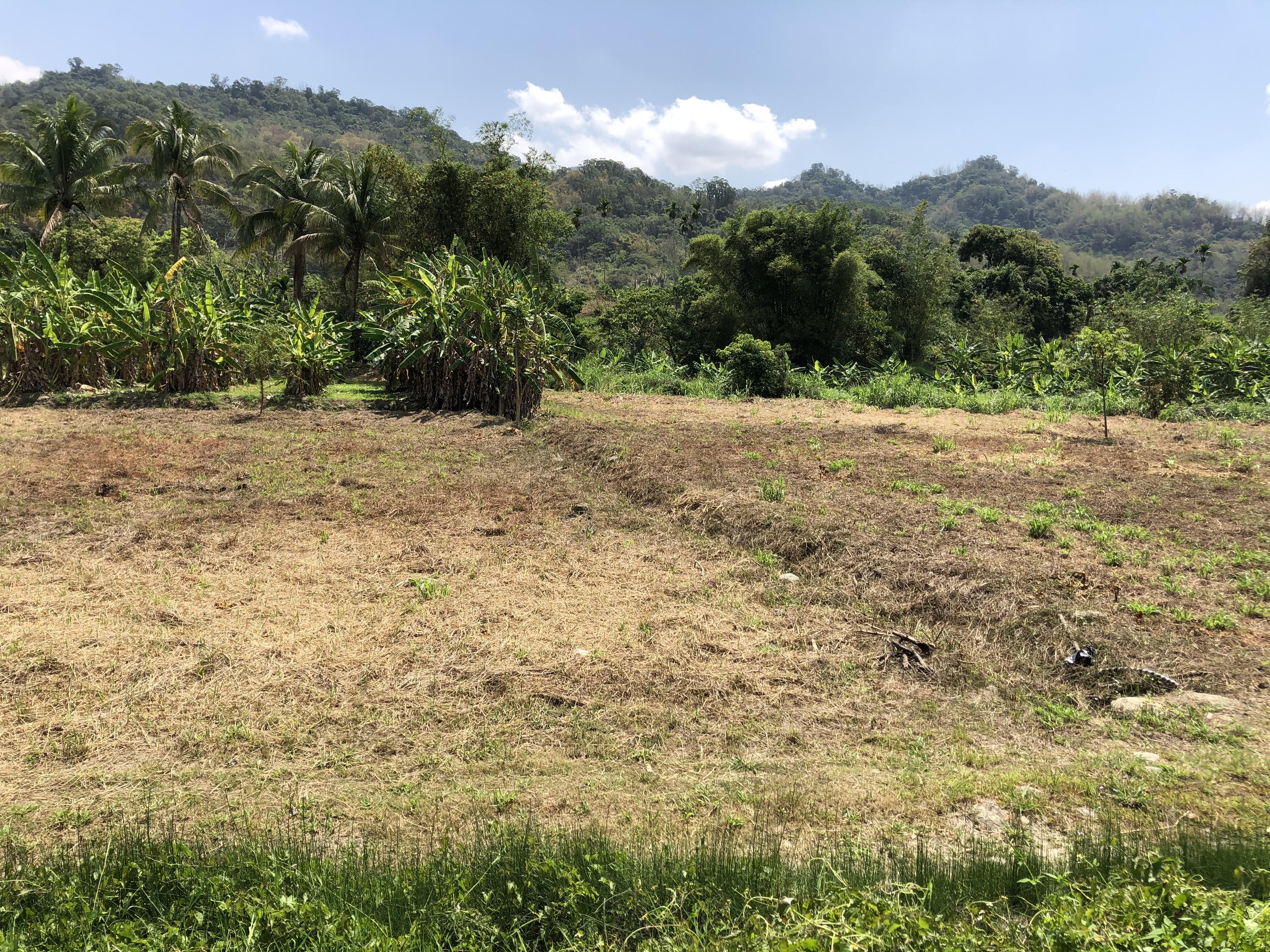 甲仙山坡保育農牧用地平坦可耕種承租權轉讓