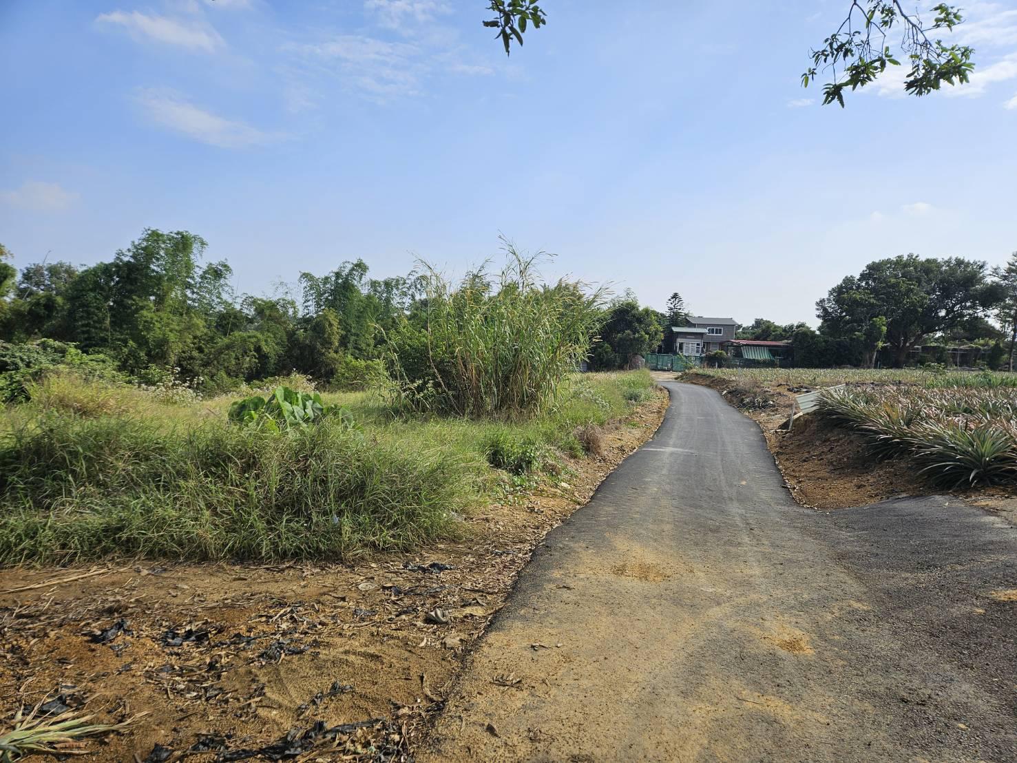 遠離塵囂鄰大樹小坪國小旁優質農地