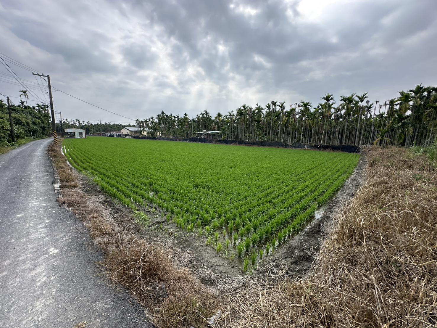 屏東南州近國道六米路農地