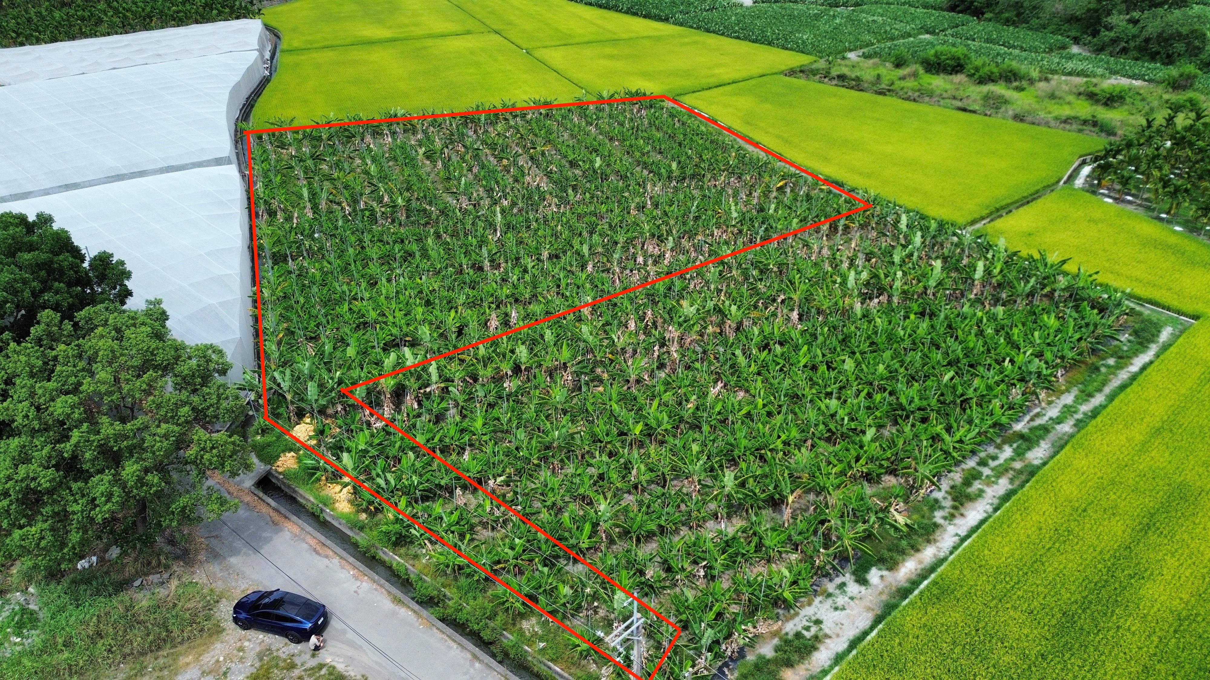 買一塊少一塊！高樹肥沃農地｜出價就談