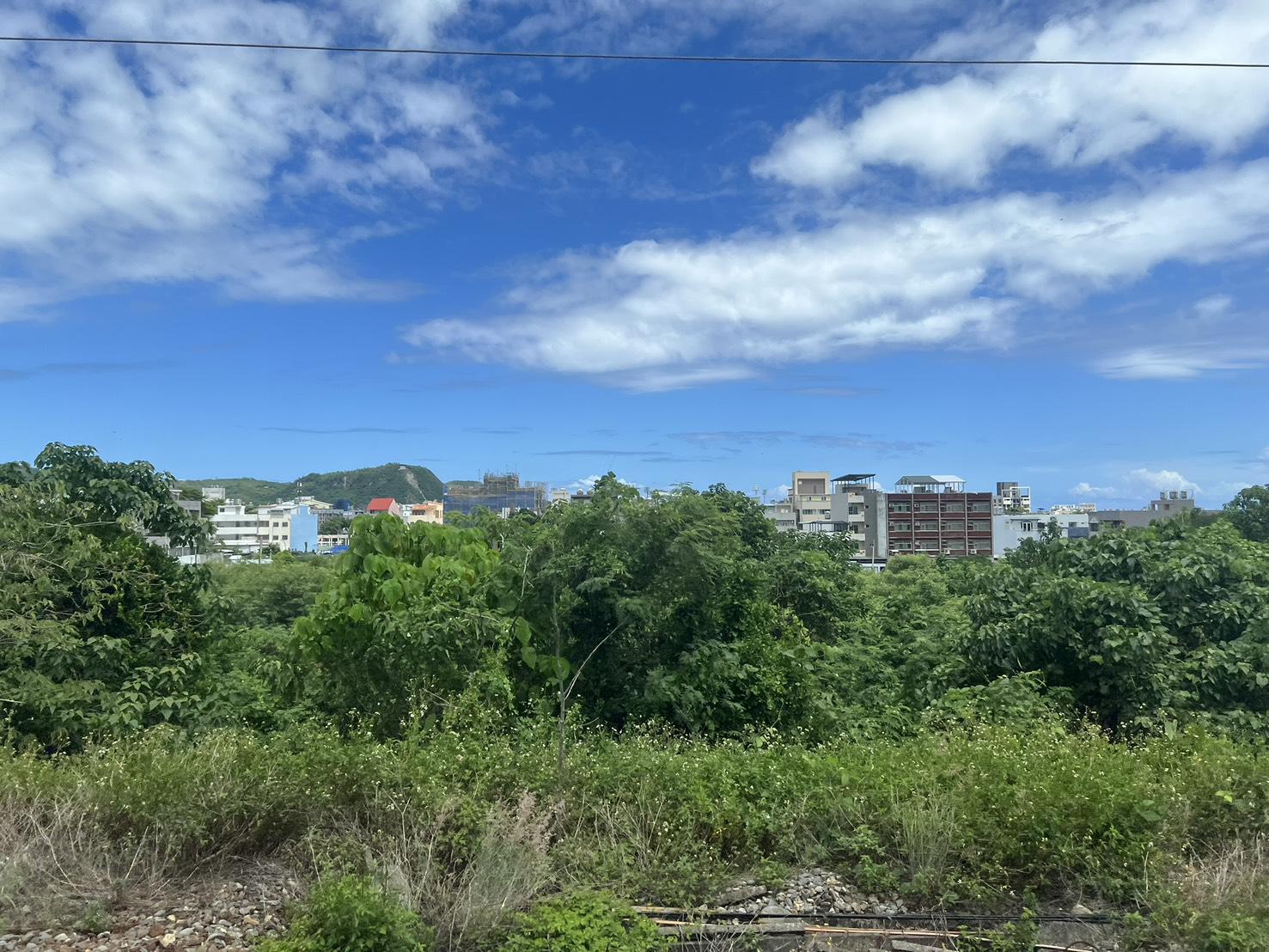 台東東河南八里有電農地